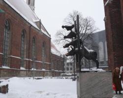 Kelionės nuotrauka